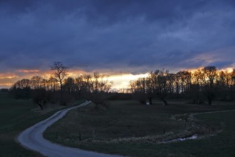 Field path at sunset, Flusslandschaft Peenetal nature park Park, Mecklenburg-Western Pomerania,