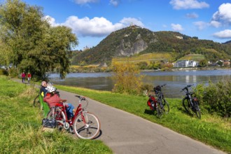 Cycle path on the Drachenfels, a mountain in the Siebengebirge on the Rhine between Bad Honnef and