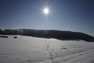 Wide snowy landscape with footprints under a bright sun and clear sky, Upper Palatinate