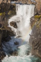 Fossardalur Waterfall with rainbow, close to Djupivogur at the Berufjord, Easter Iceland