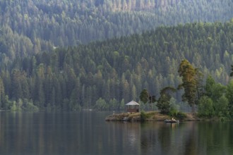 Schluchsee reservoir, Black Forest, Baden-Württemberg, Germany, Europe