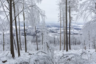 View from Czorneboh to Cunewalde in winter, Upper Lusatia, Saxony, Germany, Europe