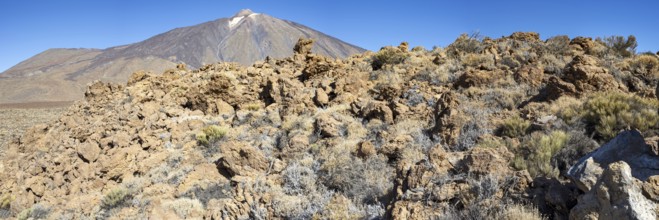 Panorama over the Teide National Park, Parque Nacional del Teide, to Pico del Teide, 3715m,