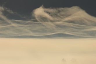 Foggy mood, fog, morning light, backlight, autumn, Loisach-Lake Kochel-Moor, foothills of the Alps,