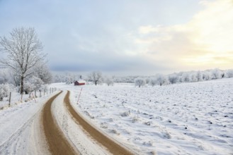 Snowy winter road in a rural landscape with snow and frost and a red barn in the countryside Sweden