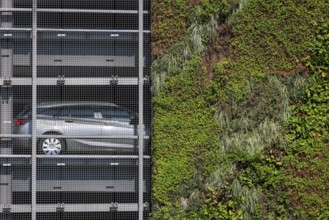 Bottrop, North Rhine-Westphalia, Germany, Wall-mounted façade greening at the P+R car park at