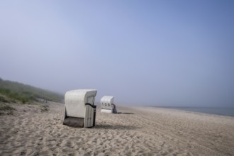 Graal-Müritz, Mecklenburg-Western Pomerania, Germany, Beach chairs in the morning mist on the sandy