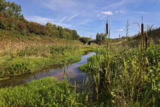 Bottrop-Gladbeck, North Rhine-Westphalia, Germany, Renaturalised Boye, the tributary of the