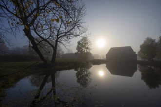 Morning sun over the estate pond on a foggy morning at Gut Othenstorf, Othenstorf near Rehna,