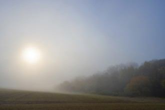 Sun in the morning mist, landscape in Mecklenburg-Vorpommern, Germany, Europe