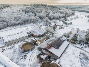 Winter view of a farm with snow-covered roofs and forests in the background, Haselstaller Hof, Calw