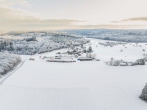 Snow-covered fields under morning light, surrounded by a dense forest, Haselstaller Hof, Calw