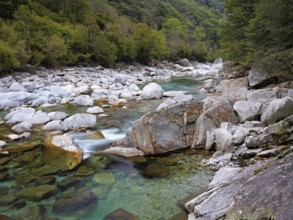 Clear water and rock formations in the Verzasca River, near Lavertezzo, Verzasca Valley, Valle