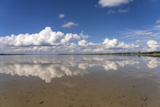 Limfjord coast on the Salling peninsula, Denmark, Europe