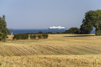 Cruise ship Color Line- Color Fantasy near Botofte, Langeland Island, Denmark, Europe