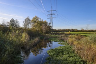 Bottrop, North Rhine-Westphalia, Germany - Renaturalised Boye in golden autumn, the tributary of