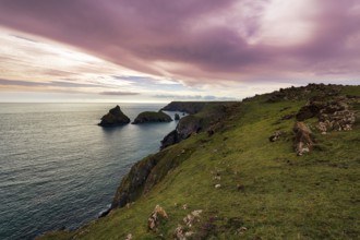 Rocky coast at Kynance Cove, evening sky, Mount's Bay, Lizard Peninsula, Cornwall, England, Great