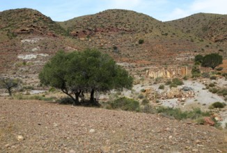 Abandoned farmhouse building near Presillas Bajas, Cabo de Gata national park, Almeria, Spain,