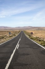 Straight tarmac road crossing desert, Fuerteventura, Canary Islands, Spain, Europe