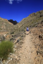 Woman walking Ruta del Agua to Huebro, Sierra Alhamilla mountains, Nijar, Almeria, Spain, Europe