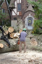 Detroit, Michigan, A storm with 70mph wind gusts blew down a 15-ton, 110-foot cottonwood, damaging