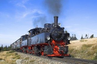 HSB, Harz narrow-gauge railway, locomotive, steam engine, smoke, HSB railway, Brockenbahn, Harz,