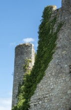 Billy. Fortified castle, showcasing medieval architecture from the 13th century in Allier