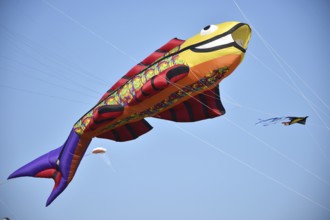 Kite festival, flying kites on Schönberg beach, Schleswig-Holstein, Germany, Europe