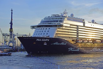 Europe, Germany, Hamburg, Elbe, passenger ship, Mein Schiff 6, arriving, left floating dock,