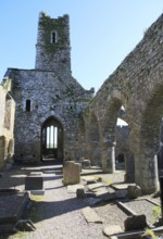 Historic ruins of Timoleague Friary, County Cork, Ireland, Irish Republic, Europe