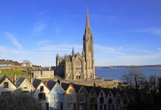 Saint Colman cathedral church, Cobh, County Cork, Ireland, Irish Republic, Europe