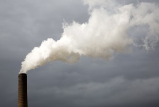 Steam rising from chimneys as sugar beet is processed at the British Sugar factory, Bury St