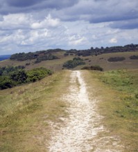 Chalk footpath on South Downs near Devil's Dyke, Sussex, England, United Kingdom, Europe