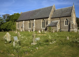 Church of St Andrew, Alderton, Sufolk, England, the ivy covered tower collapsed in the early