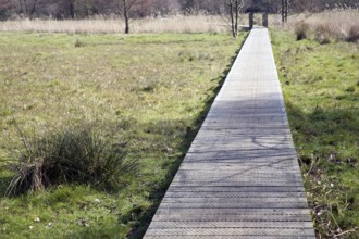 A wooden boardwalk across wet marshy field forming an art work High Water Mark 2048 by Jonathan