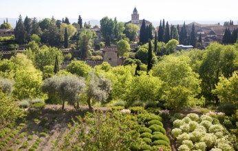 View over trees and gardens, Generalife garden, Alhambra, Granada, Spain, Europe