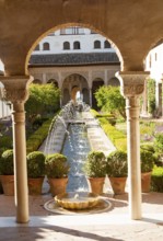 Patio de la Acequia, Court of the water Channel, Generalife palace gardens, Alhambra, Granada,