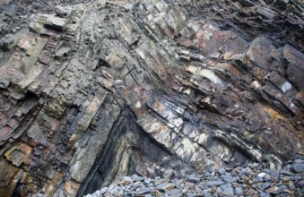 Complex folding of sedimentary rock strata in coastal cliffs at Hartland Quay, north Devon,