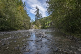 Rappenloch Gorge Natural Monument, Dornbirner Ach, Dornbirn, Bregenzerwald, Austria, Europe