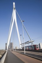 Erasmus Bridge, Erasmusbrug, spanning the River Maas designed by architect Ben van Berkel completed