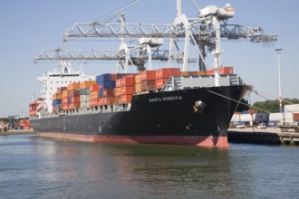 Container ship 'Santa Rebecca' and cranes, Port of Rotterdam, Netherlands