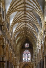 Vaulted nave ceiling roof of medieval Lincoln cathedral interior, city of Lincoln, Lincolnshire,