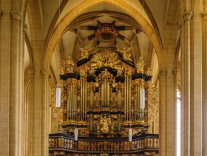 Organ by Johannes Klais in the baroque case by Johann Friedrich Wender, interior photograph of the