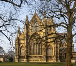 East frontage Lincoln cathedral church winter morning light viewed through tree branches, city of