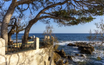 Landscape and coastal area in the north of Majorca, Cala Rajada, Balearic Islands, . Spain