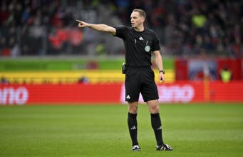 Referee Referee Sören Storks Gesture Gesture Voith-Arena, Heidenheim, Baden-Württemberg, Germany,