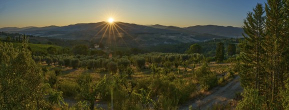 Tuscan landscape at sunrise, country estate with vineyards, forests amd olive trees in Chianti,