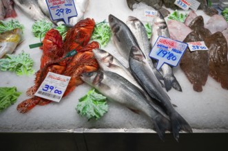 Display sea bass, red snapper, sole, fish, fishmonger, interior, indoor market, Mercat de l'Olivar,