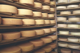 Cheese storage, mountain cheese, Southern Black Forest, Germany, Europe