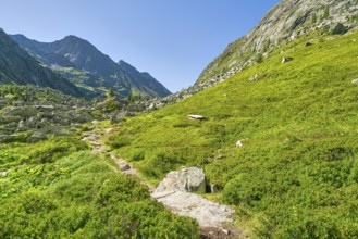 Hike to Lake Dorfer See with the Kalser Tauern in the background, mountain lake, blue sky,